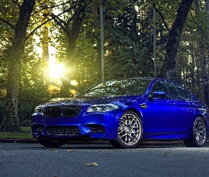 Promienie, BMW, Niebieskie, Słońca, Las