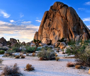 Stany Zjednoczone, Skała, Park Narodowy Joshua Tree, Pustynia, Kalifornia