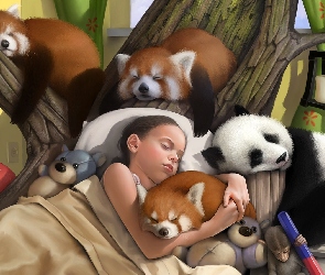 Pandka ruda, Misie, Śpiąca, Dziewczynka