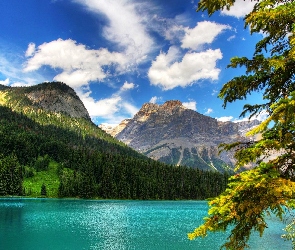 Kanada, Kolumbia Brytyjska, Lasy, Jezioro Emerald Lake, Góry, Park Narodowy Yoho