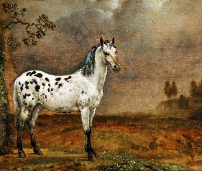 Malarstwo, Koń, Obraz