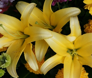 Lilie, Żółte