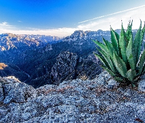 Skały, Aloes, Góry