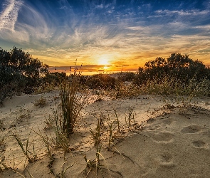 Zachód, Trawa, Morze, Plaża, Słońca