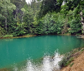 Jezioro, Las