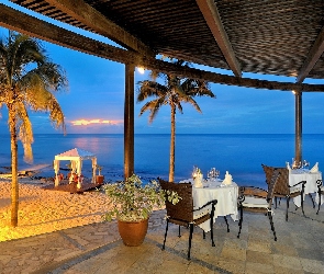Restauracja, Palmy, Morze