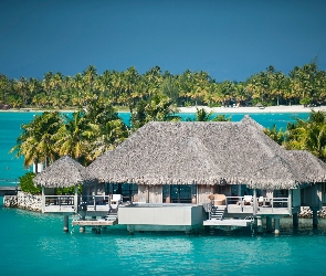 Hotel, Bora Bora, Ocean, Palmy, St.Regis