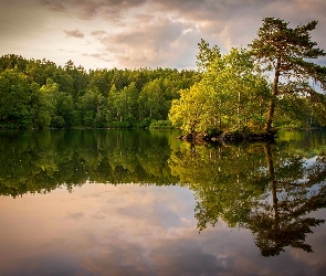 Las, Odbicie, Jezioro