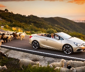 Opel, Góry, Samochód, Owce, Zachód, Cascada, Słońca, Droga