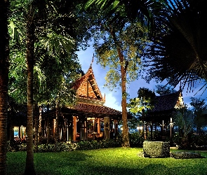 Hotel, Tajlandia, Palmy, Ogród