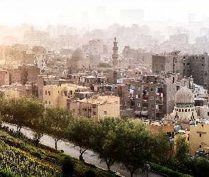 Kair, Droga, Drzewa, Miasto, Egipt