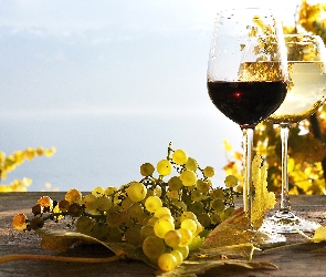 Kieliszki, Wino, Winogrona