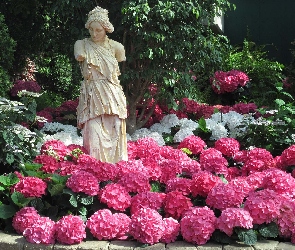 Posąg, Hortensje, Ogród, Park