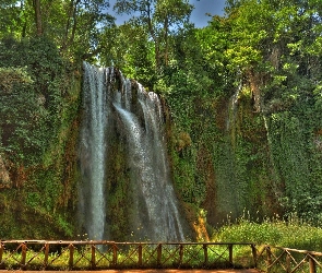 Wodospad, Trawa, Las