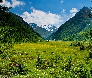 Góry, Austria, Tyrol, Lasy