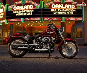 Harley Davidson, czerwony