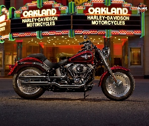 czerwony, Harley Davidson