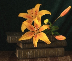 Lilie, Książki, Kwiaty