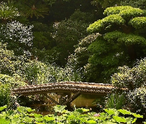 Ogród, Mostek, Staw, Drewniany, Japoński