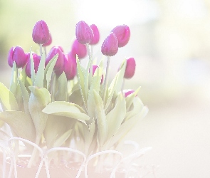 Fioletowe, Tulipany, Kwiaty