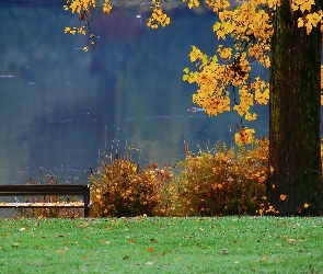 Jesień, Park, Ławka, Jezioro