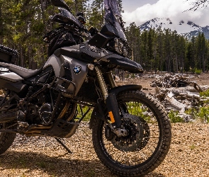 BMW, Góry, Las, F800GS