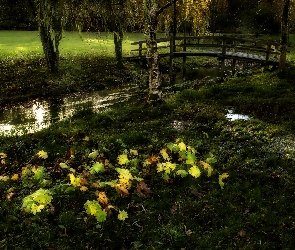 Rzeczka, Mostek, Park