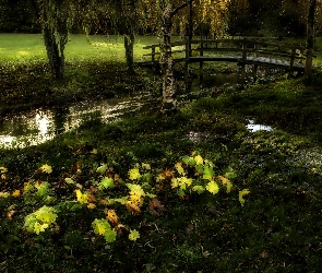 Park, Mostek, Rzeczka