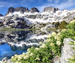 Skały, Góry, Kwiaty, Jezioro