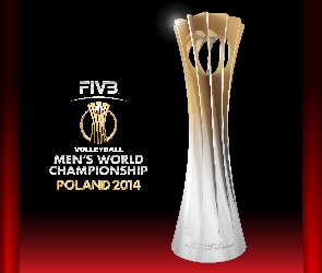 Mistrzostwa Świata, 2014, Mężczyzn, Polska, Siatkówka