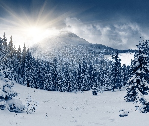 Zima, Śnieg, Słońca, Góry, Promienie, Świerki