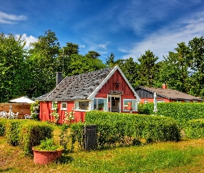 Skansen, Wieś, Światło, Drzewa, Obłoki, Przebijające, Ogródki