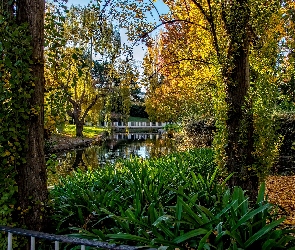 Park, Jesień, Mostek, Rzeczka