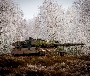Brzozy, Trawa, Czołg, Leopard 2a5