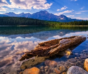 Las, Jezioro, Kłoda, Kamienie, Góry