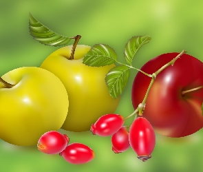 Jabłka, Art, Owoce, Dzika róża