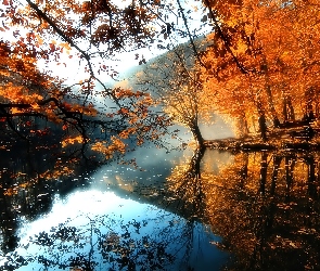 Jesień, Drzewa, Rzeka, Mgła