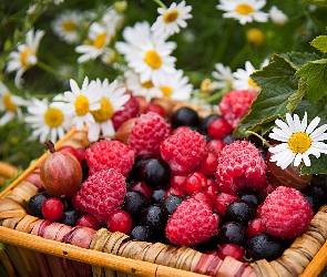 Owoce, Koszyk, Kwiatki