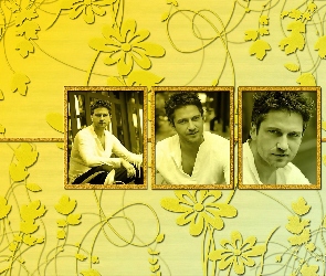 biała koszula, kwiatki, Gerard Butler