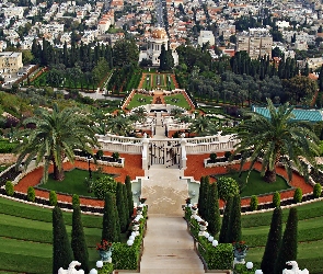 Izrael, Tarasy, Domy, Palmy, Ogród, Basen, Panorama, Hajfa, Miasta, Bab Bahai