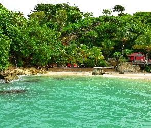 Morze, Plaża