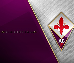 piłka nożna, sport, Fiorentina