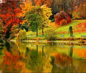 Jesień, Staw, Park