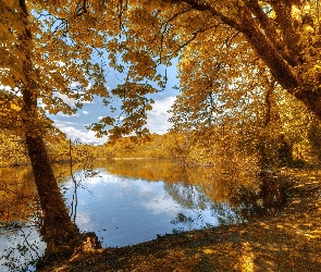 Park, Jesień, Jeziorko