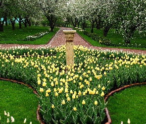 Park, Tulipany, Żółte, Wiosna