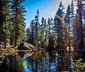 Jezioro, Lasy, Stan Kalifornia, Kamienie, Góry, Stany Zjednoczone, Park Narodowy Yosemite