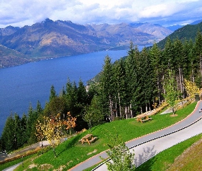 Droga, Las, Góry, Jezioro
