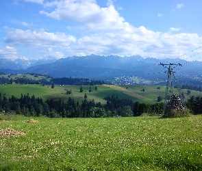 Tatry, Pola, Farmy