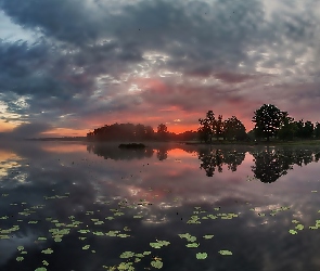 Jezioro, Słońca, Chmury, Zachód, Drzewa