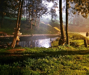 Park, Światło, Fontanna, Przebijające, Staw